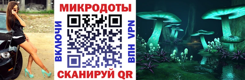 закладки Ливны Псилоцибиновые грибы мухоморы